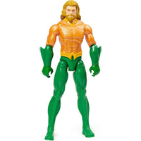 Aquaman Personaggio DC Comics 30 cm - Giocattoli e Bambini - Toys Store0778988307946