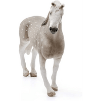 Castrone Holsteiner Schleich - Giocattoli e Bambini - Toys Store4055744021343