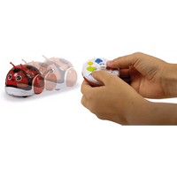 Coccinella Racing Bugs - Giocattoli e Bambini - Toys Store8005125174126