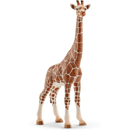 Giraffa Schleich - Giocattoli e Bambini - Toys Store4005086147508